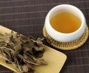 金線蓮泡茶一次放幾根？