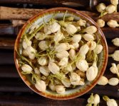 鮮茉莉花怎么炮制成茶？