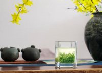 茶藝師證書含金量？